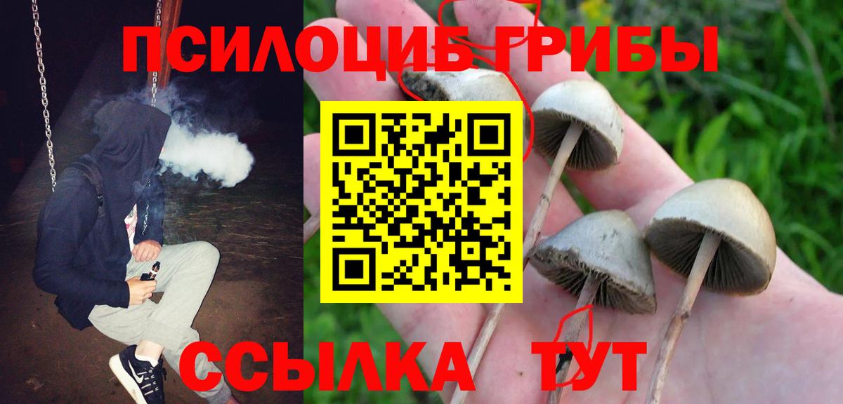 Галлюциногенные грибы GOLDEN TEACHER Кушва
