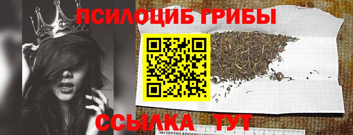 Кушва  Псилоцибиновые грибы мицелий  Вход с VPN 